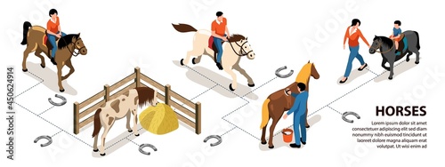 Horses Infographics Layout