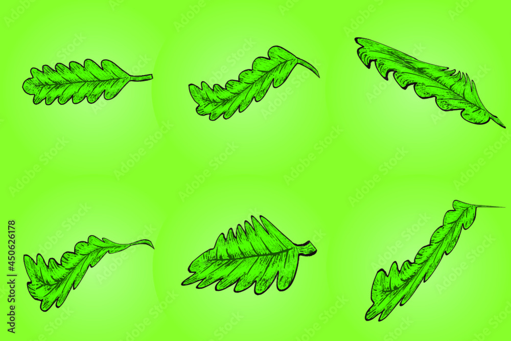Naklejka premium Set of green leaf with hand drawn style for graphic resources