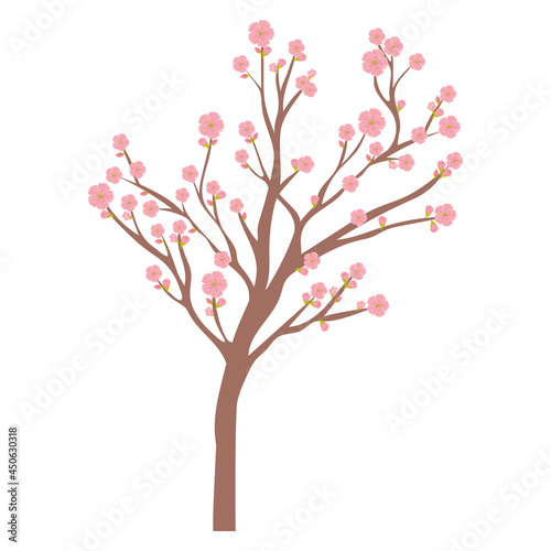 sakura tree design © grgroup