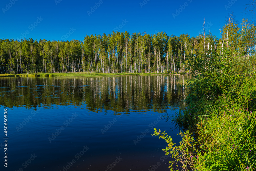 Beautiful view of Volynskoye Lake with reflection Beautiful view of Volynskoye Lake with reflection