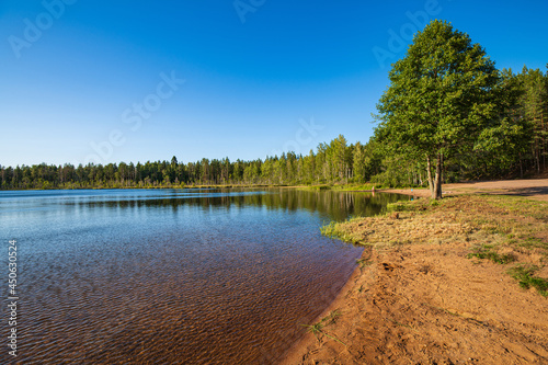 View of the beautiful coastline of a forest lake.