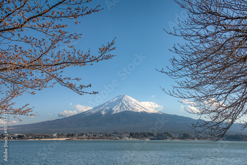 The beautiful scenery of Fuji Mountain and Sakura Branches at Kawaguchiko Lake in Spring, Japan. © Peerapat Lekkla