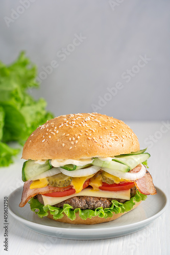 Hamburger, also burger, made of cooked grilled patties of ground beef meat, lettuce,  tomato, onion, pickles, bacon, cheese and cucumber inside fresh sliced bun served on plate on white wooden table