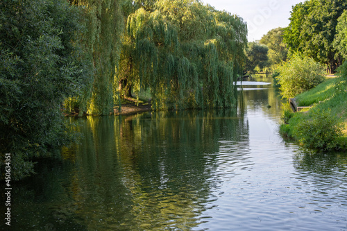 Fototapeta Naklejka Na Ścianę i Meble -  Calm water canal in a summer city park with many trees along the banks