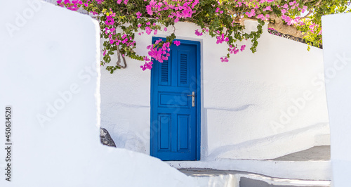 Fototapeta Naklejka Na Ścianę i Meble -  White cycladic architecture with blue door and pink bougainvillea flowers on Santorini island, Greece. Fantastic travel background Idyllic summer vacation holiday concept. Wonderful summer luxury vibe
