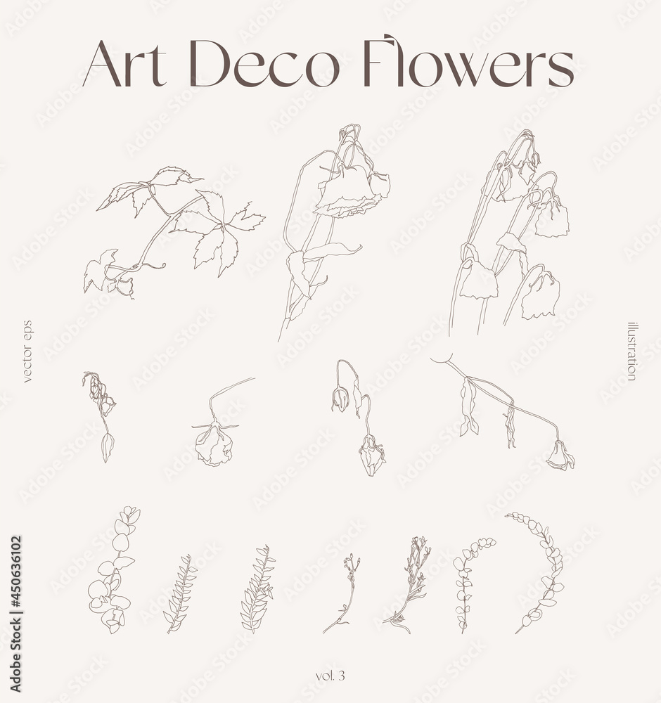 Set of floral elements decorative branches vector Set of floral elements decorative branches vector