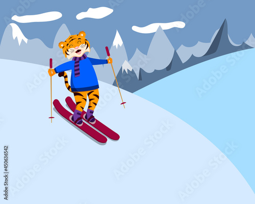 cartoon tiger skiing downhill, symbol of the year, vector isolated on a white background. photo