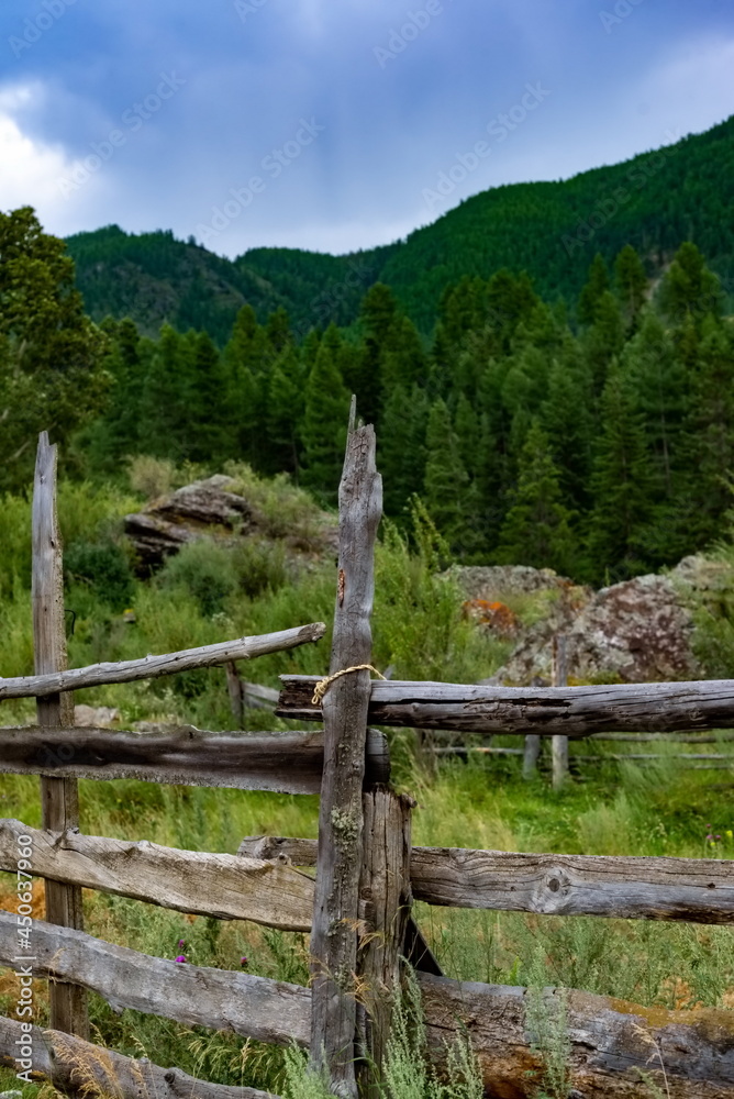View of an old wooden fence with a blurred forest background in the distance
