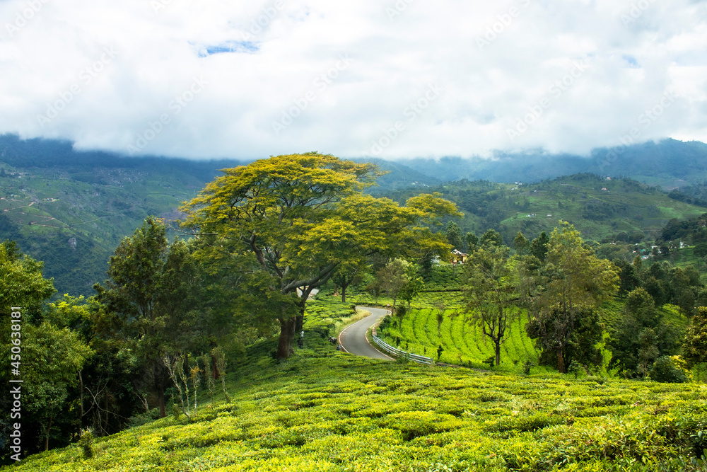 Obraz premium landscape in the mountains