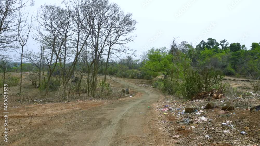 Empty underdeveloped road and dry trees around during summer season, no people around. Empty underdeveloped road and dry trees around during summer season, no people around.