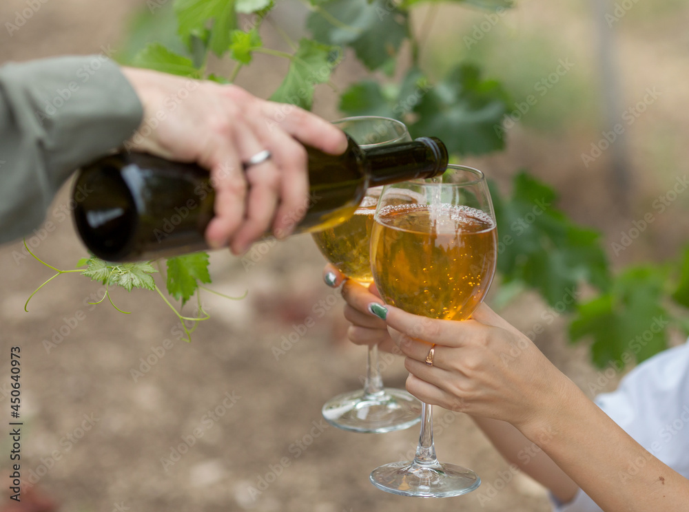 a man pours white wine from a bottle into a woman's glasses against the background of a vine. Hands close-up