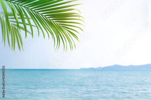 Blurred palm leave over sea view background, tropical palm tree with copy space, summer background for mockup backdrop.