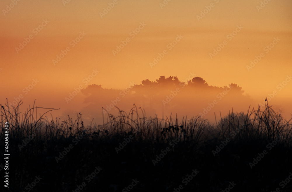 Misty morning sunrise over fields on a frosty christmas day - christleton chester- 