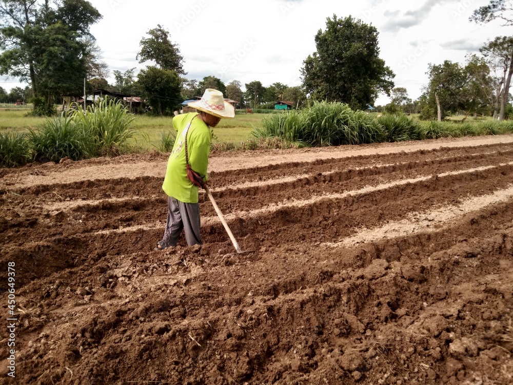 person working in a garden person working in a garden