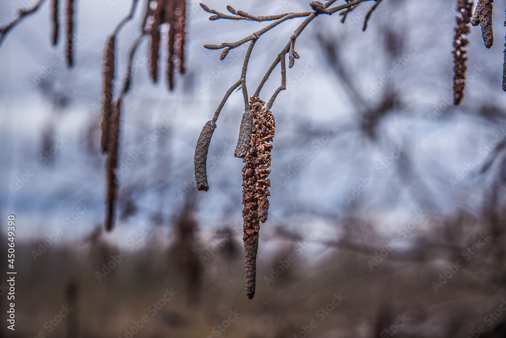 river panorama in bad weather close-up, view from the shore 