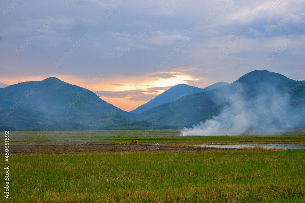 Obraz premium landscape with fog