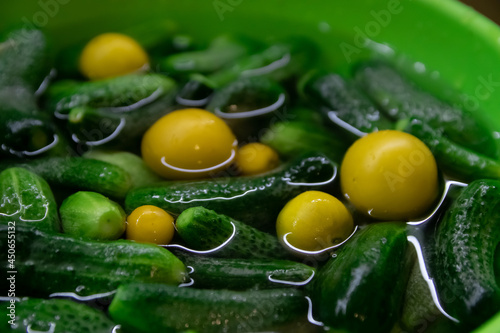 Cucumbers and yellow tomatoes in water. Fresh vegetables