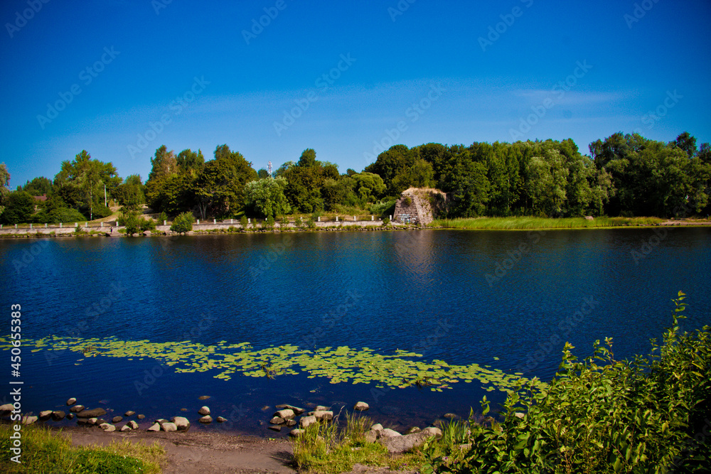 Fototapeta premium open-air park with green trees close-up 
