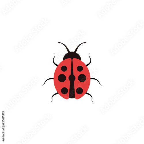 Ladybug icon design illustration template © Vectorsoft
