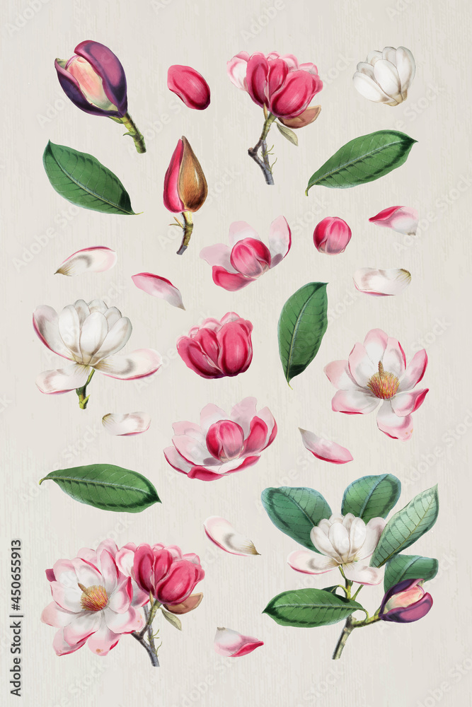 Elegant floral design collection vector