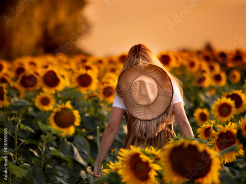 12 year old girl on a field of sunflowers photo