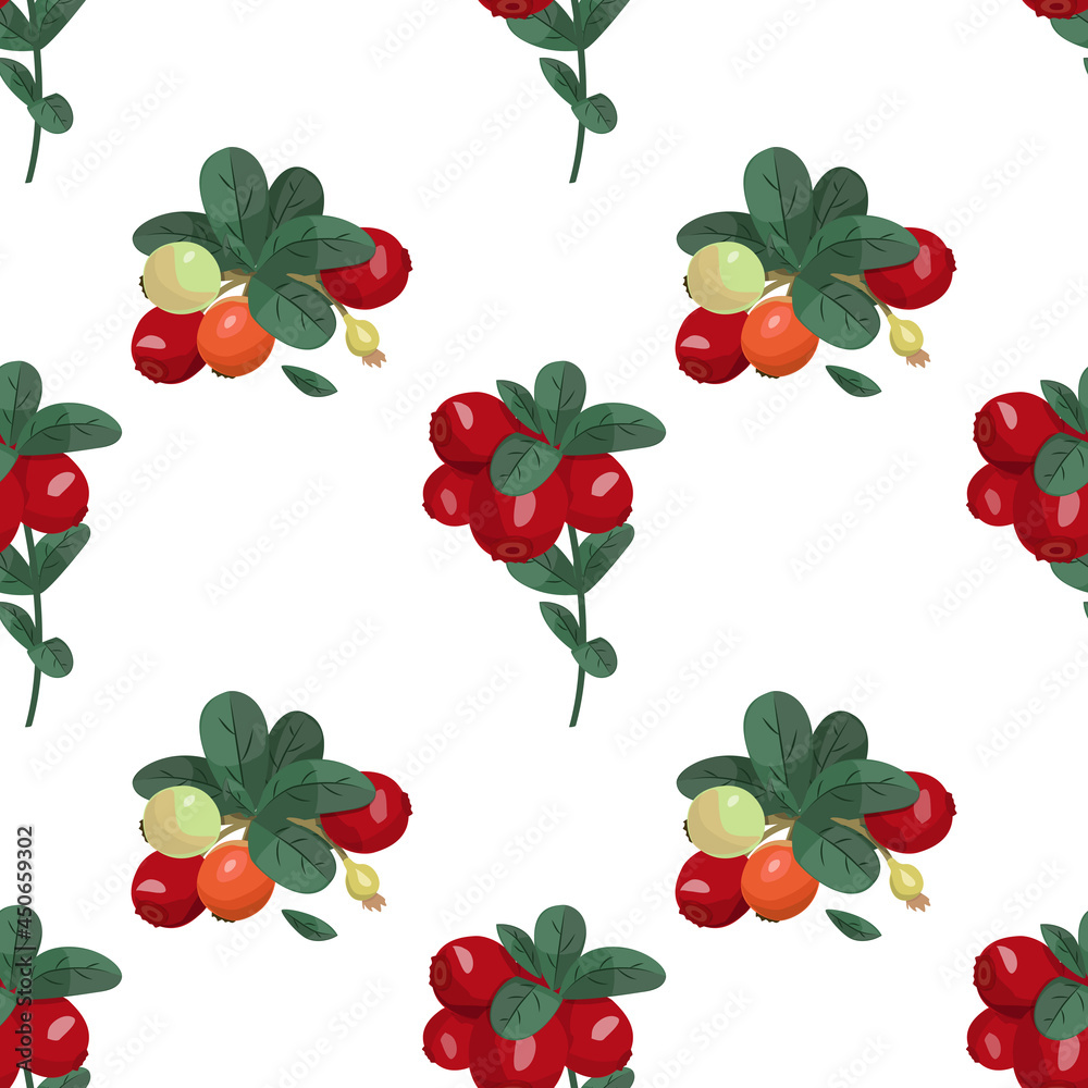 Seamless vector pattern with cranberries. Bright summer background. North Berries. Seamless vector pattern with cranberries. Bright summer background. North Berries.