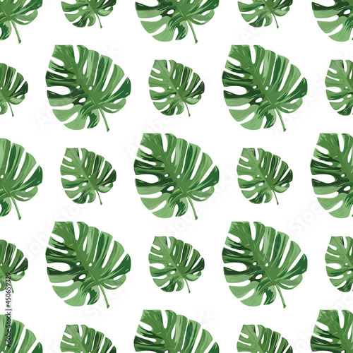 Seamless pattern with monstera leaves. Natural realistic background.