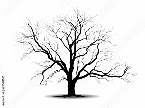 Black Branch Tree or Naked trees silhouettes. Hand drawn isolated illustrations.