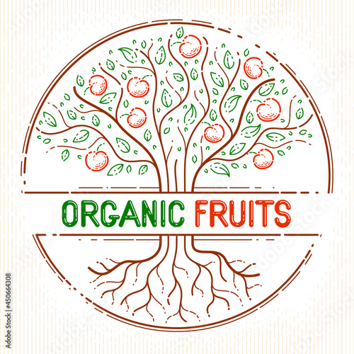 Beautiful apple fruit tree natural organic farm food vector logo or emblem, linear style drawing.