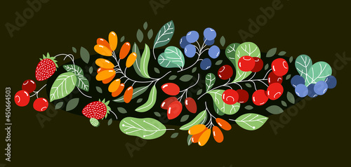 Wild berries fresh and ripe tasty healthy food vector flat style illustration over dark background, delicious vegetation diet eating, organic food.