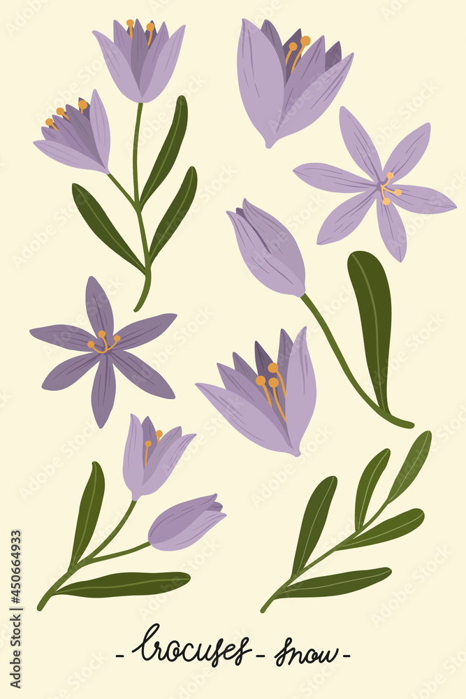 Purple flower on a creamy background vector