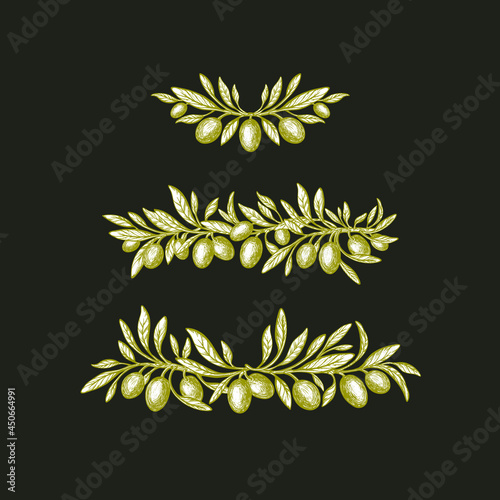 Olive set. Hand drawn border. Vector green fruit