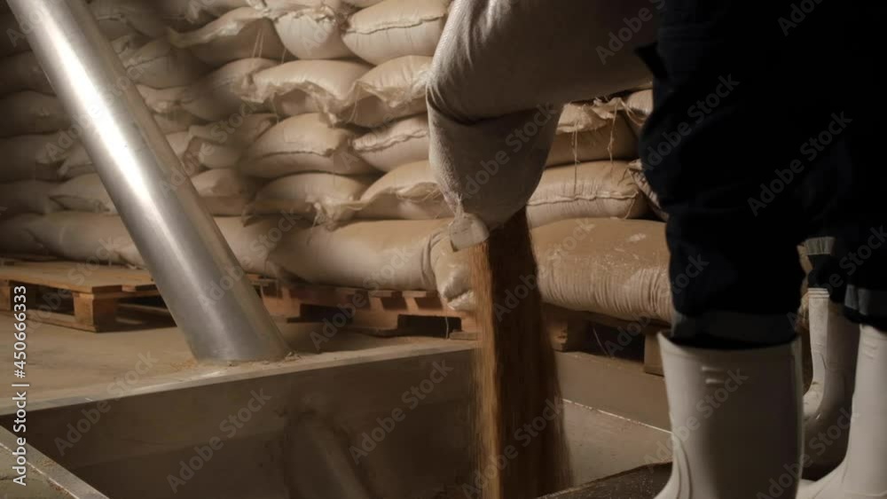 Sesame paste factory, Turkey, pouring grains to the mill