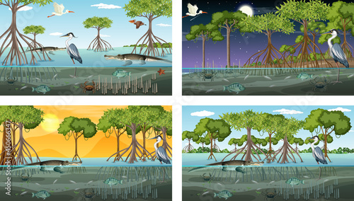 Different mangrove forest landscape scenes with animals
