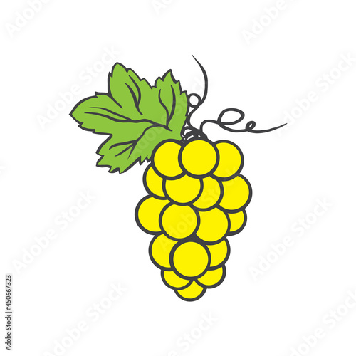 Yellow grape vector illustration, colorful decorative berry, hand drawn ink doodle isolated on white, for design cosmetic, greeting card, invitation, harvest festival, organic food restaurant menu