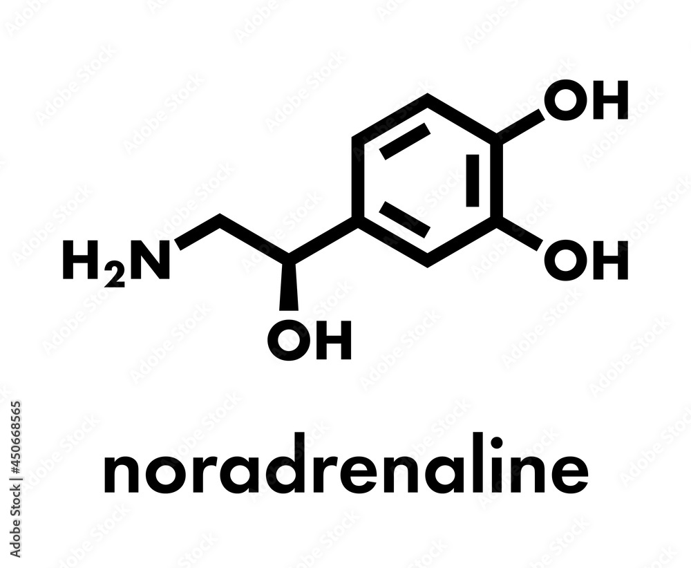 Norepinephrine (noradrenaline, norepi) hormone and neurotransmitter molecule. Skeletal formula. Norepinephrine (noradrenaline, norepi) hormone and neurotransmitter molecule. Skeletal formula.