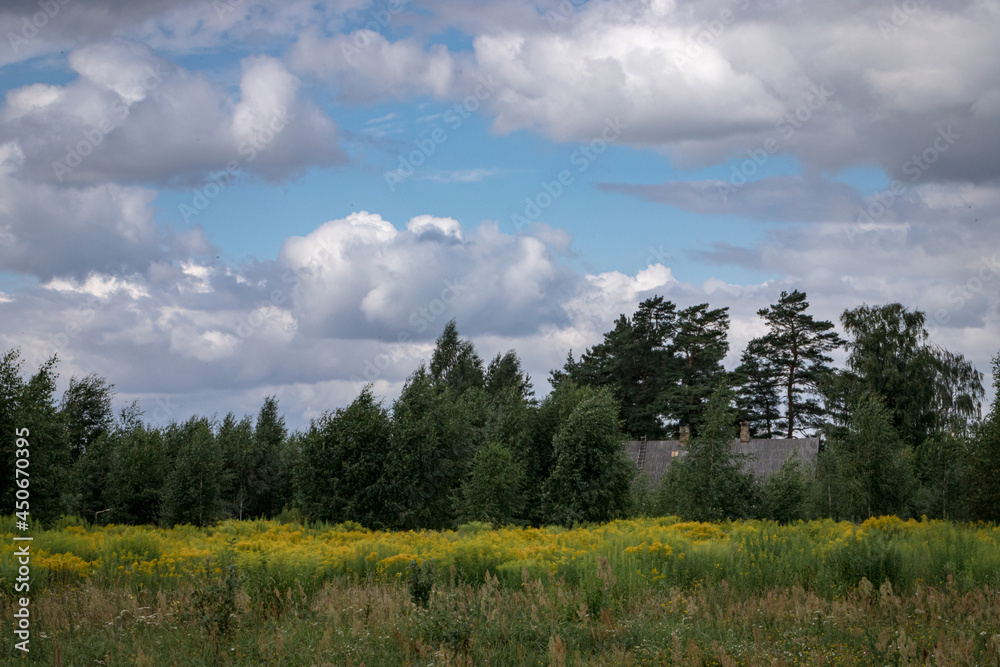 small country village house covered with trees, meadow with yellow flowers in foreground, blue sky with big fluffy clouds in background