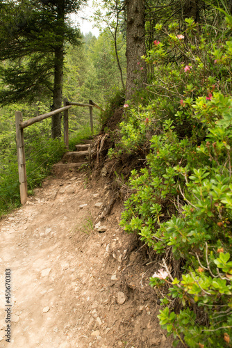 Bletterbach Gorge in the Dolomites in Italy photo