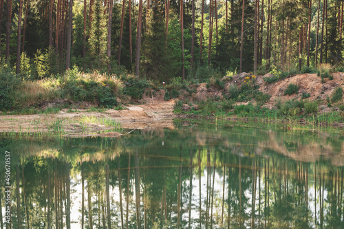 reflection of pine tree forest  sandy pond shore with grass in slallow gravel quarrie water. Evening light in summer 