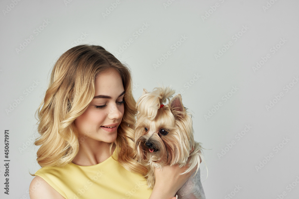 woman in a yellow dress fun a small dog light background Studio woman in a yellow dress fun a small dog light background Studio