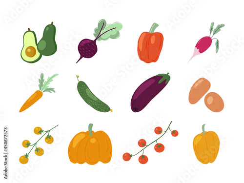Set of fresh juicy vegetables from local farm. Harvest of pumpkins, beet, carrot, tomato, potato, radish, bell pepper, cucumber, avocado and eggplant. Flat vector illustration