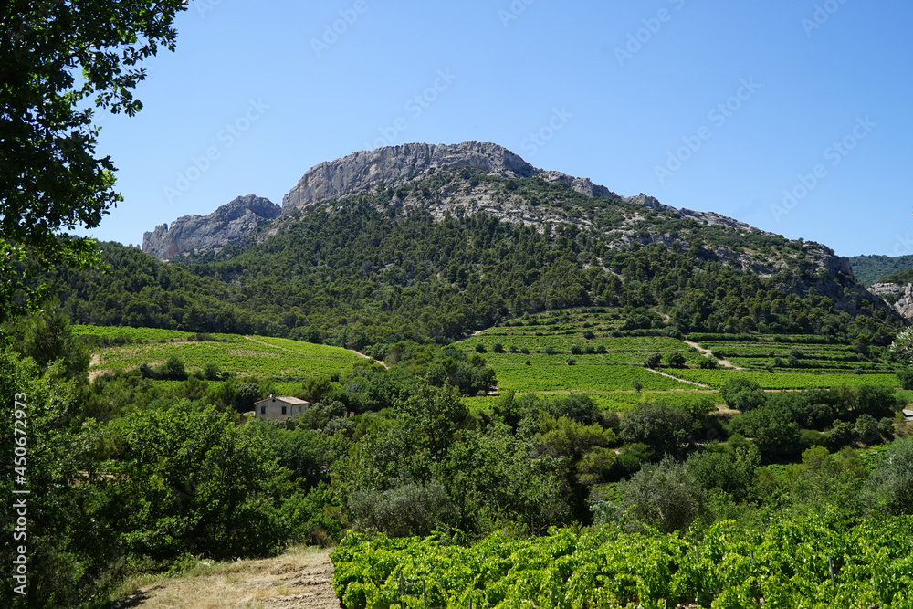 Paysage de Provence dans les environs de Malaucène
