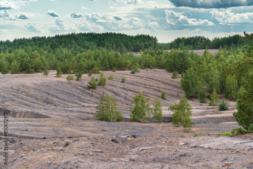 View from the quarry to the green birch forest. In the foreground is the rocky ground of the quarry. 