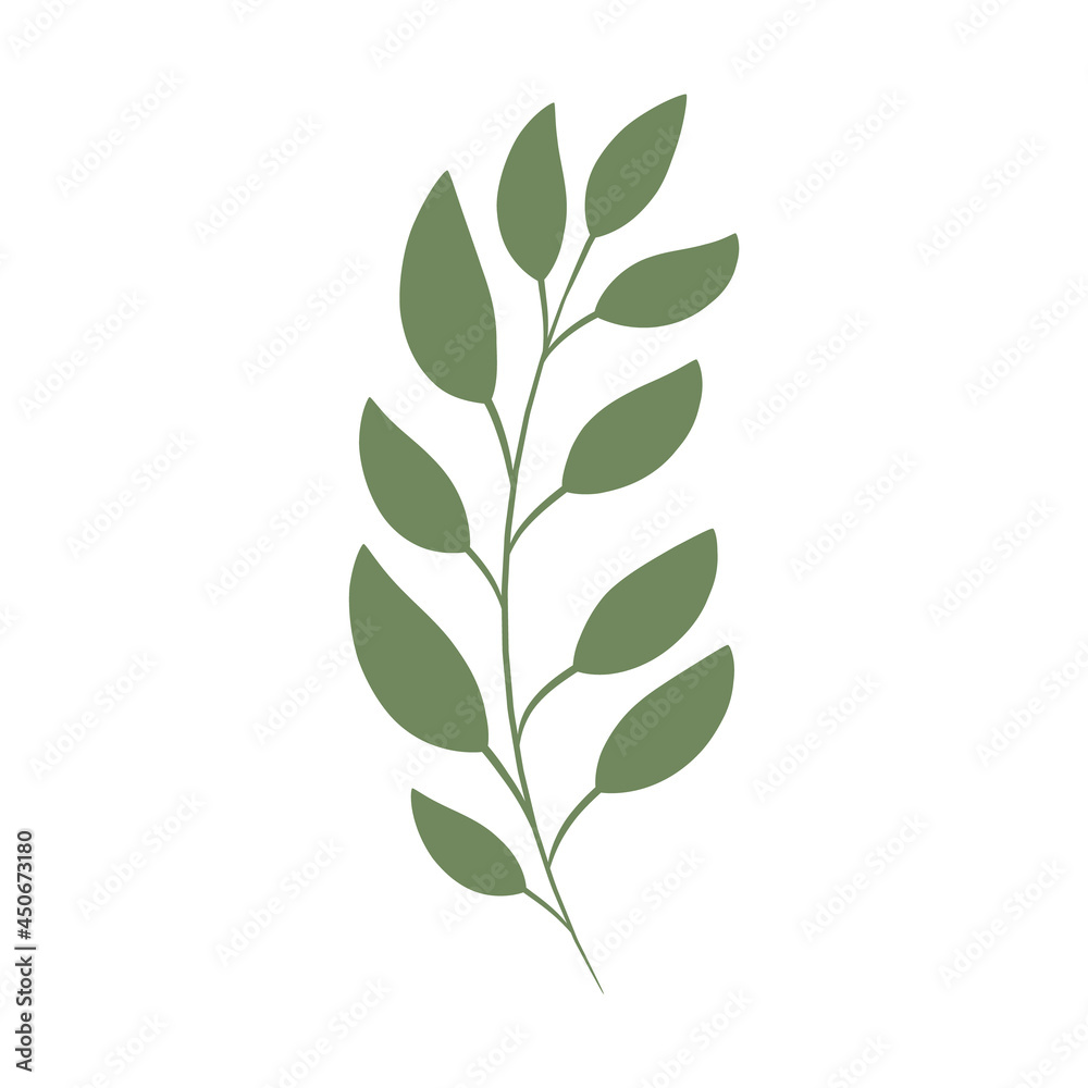 Green branch with leaves, vector illustration. Green branch with leaves, vector illustration.