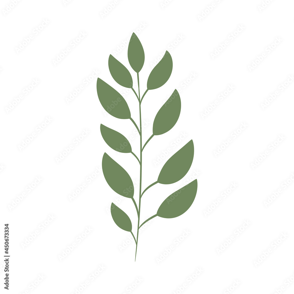 Fototapeta premium Green branch with leaves, vector illustration.