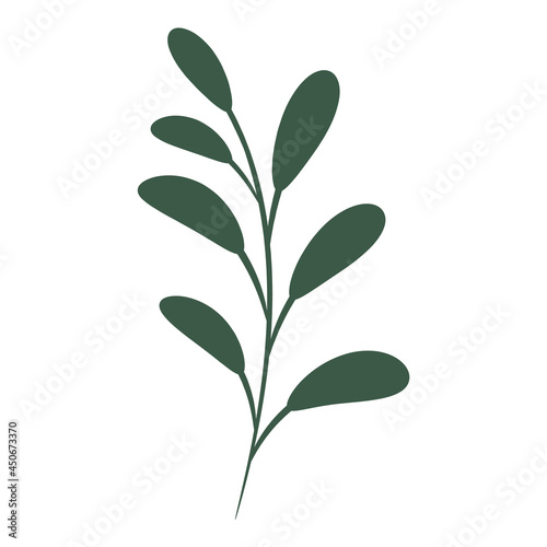 Green branch with leaves, vector illustration.