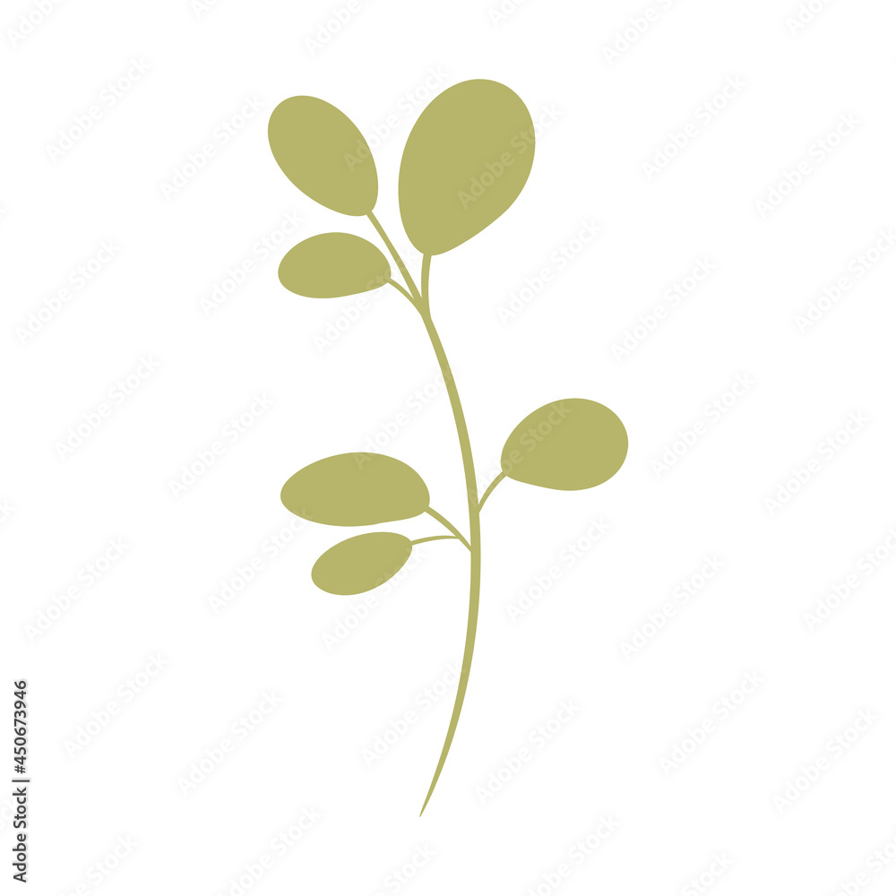 Obraz premium Green branch with small leaves