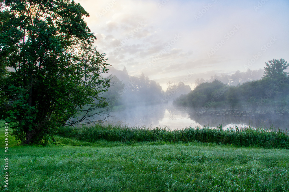 Park Pałacowy w Białowieży, Podlasie, Polska Park Pałacowy w Białowieży, Podlasie, Polska