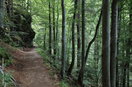 Landschaft Bayern - Bayrischer Wald   Landscape Bavaria - Bavarian Forest  