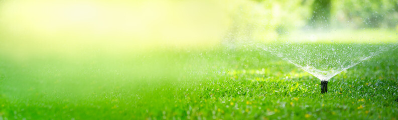 Automatic garden lawn sprinkler in action watering grass using as background cove rpage 